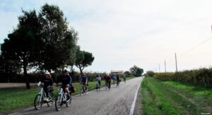 Grupo pedaleando ebikes y bicis sin asistencia