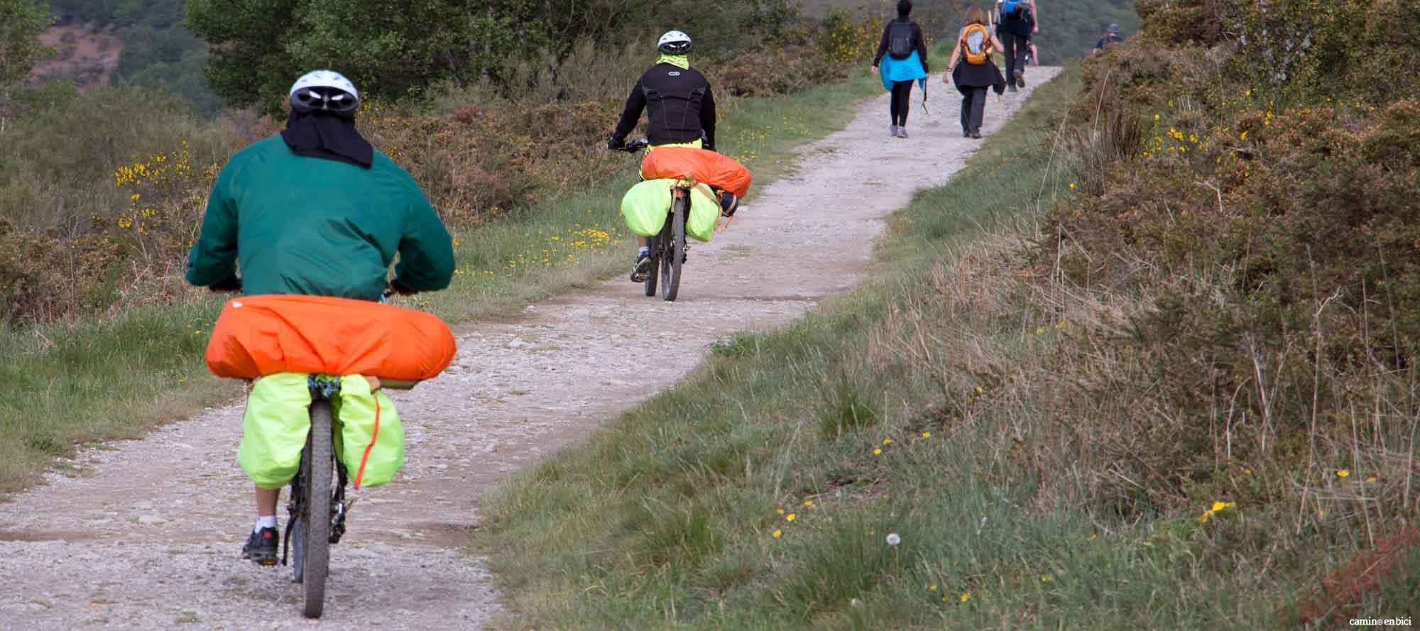 Todas las ventajas del Camino Francés en grupo y en bicicleta - Peregrinos