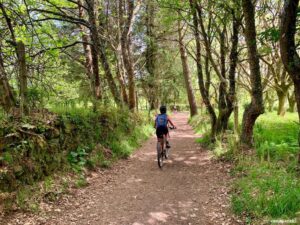 flecha camino- preparación física Camino de Santiago