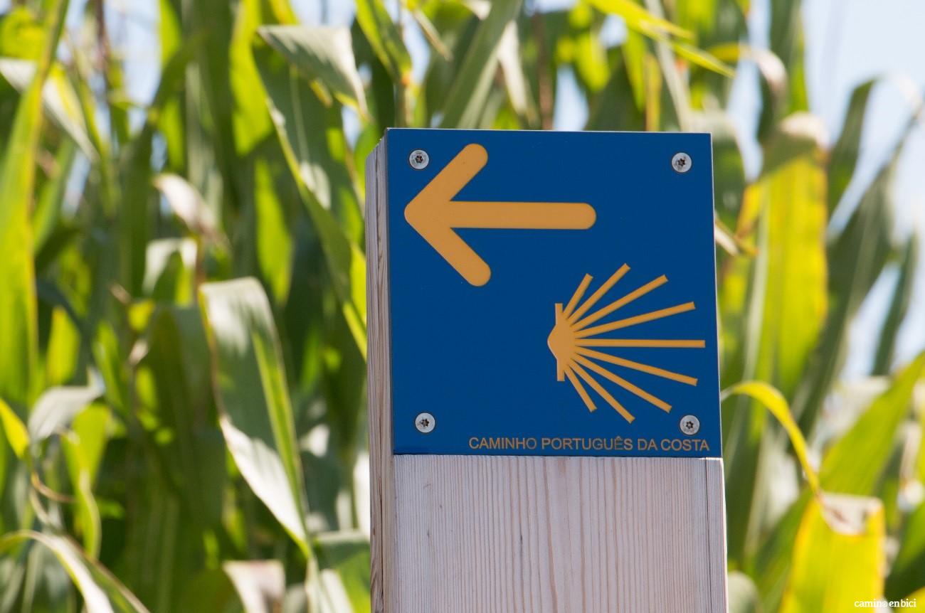 Camino Portugués - Señalización