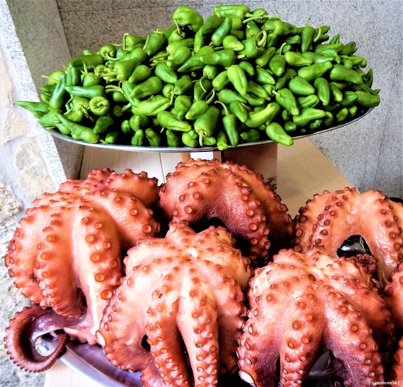 Pulpo y Pimientos de Herbón en Padrón