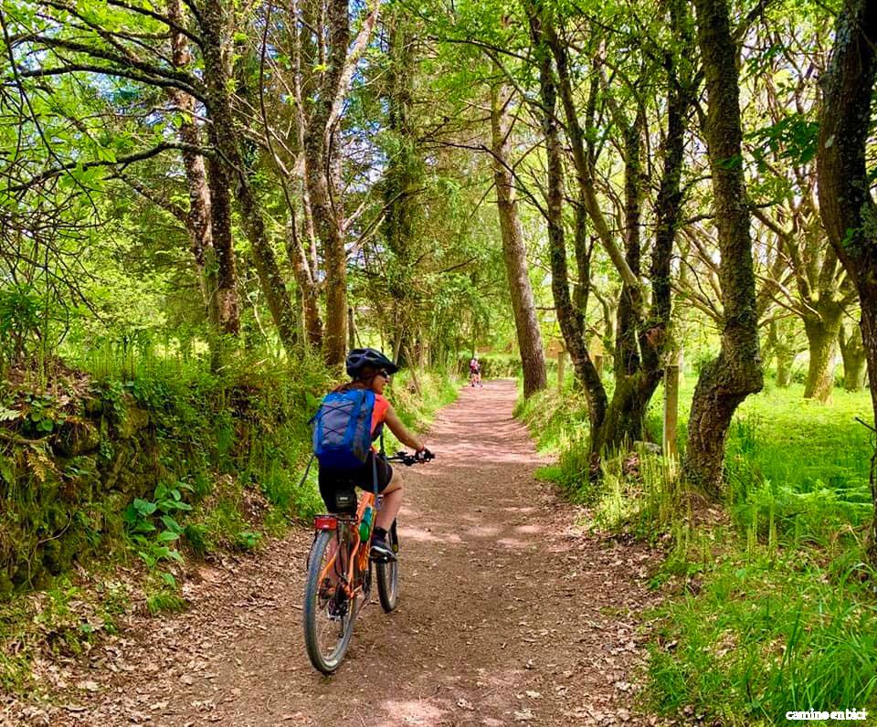Camino de Santiago Francés - Etapa Sarria-Melide