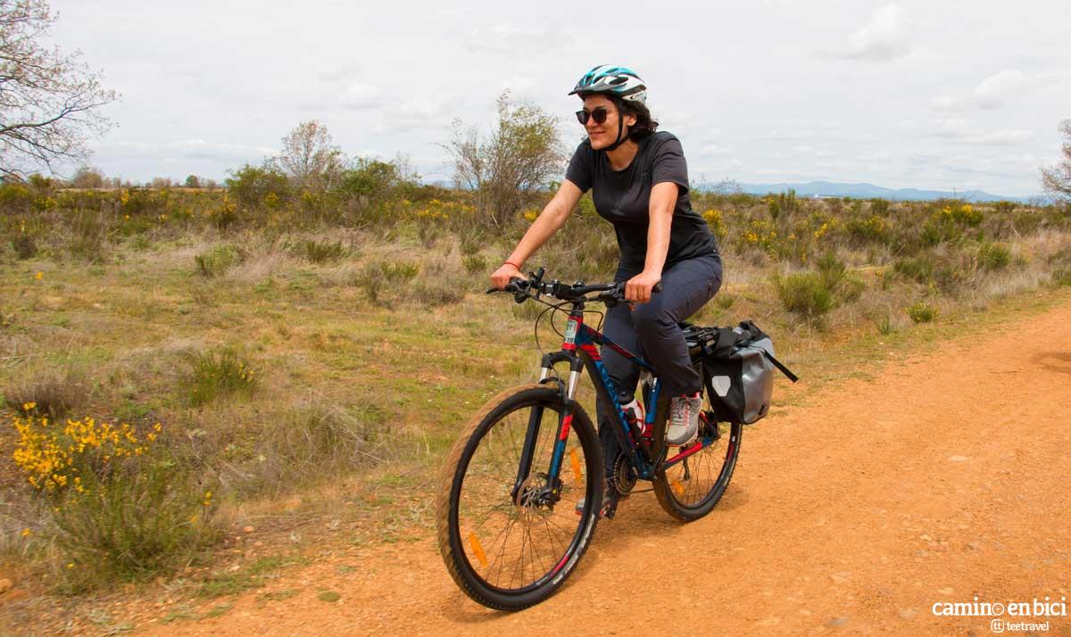 Camino Francés - Comunidad Autónoma de Castilla y León