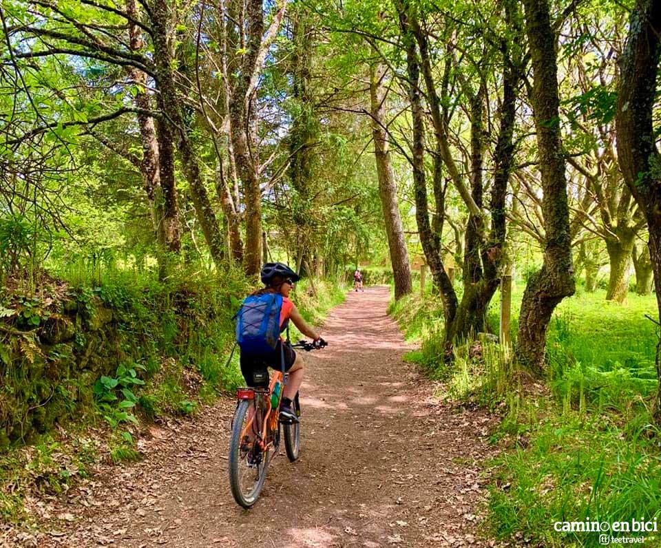 Camino Francés en Galicia
