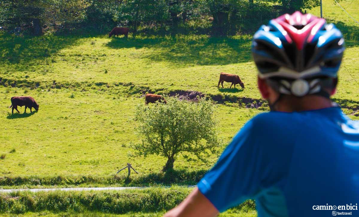 Camino de Santiago de Compostela en Bicicleta