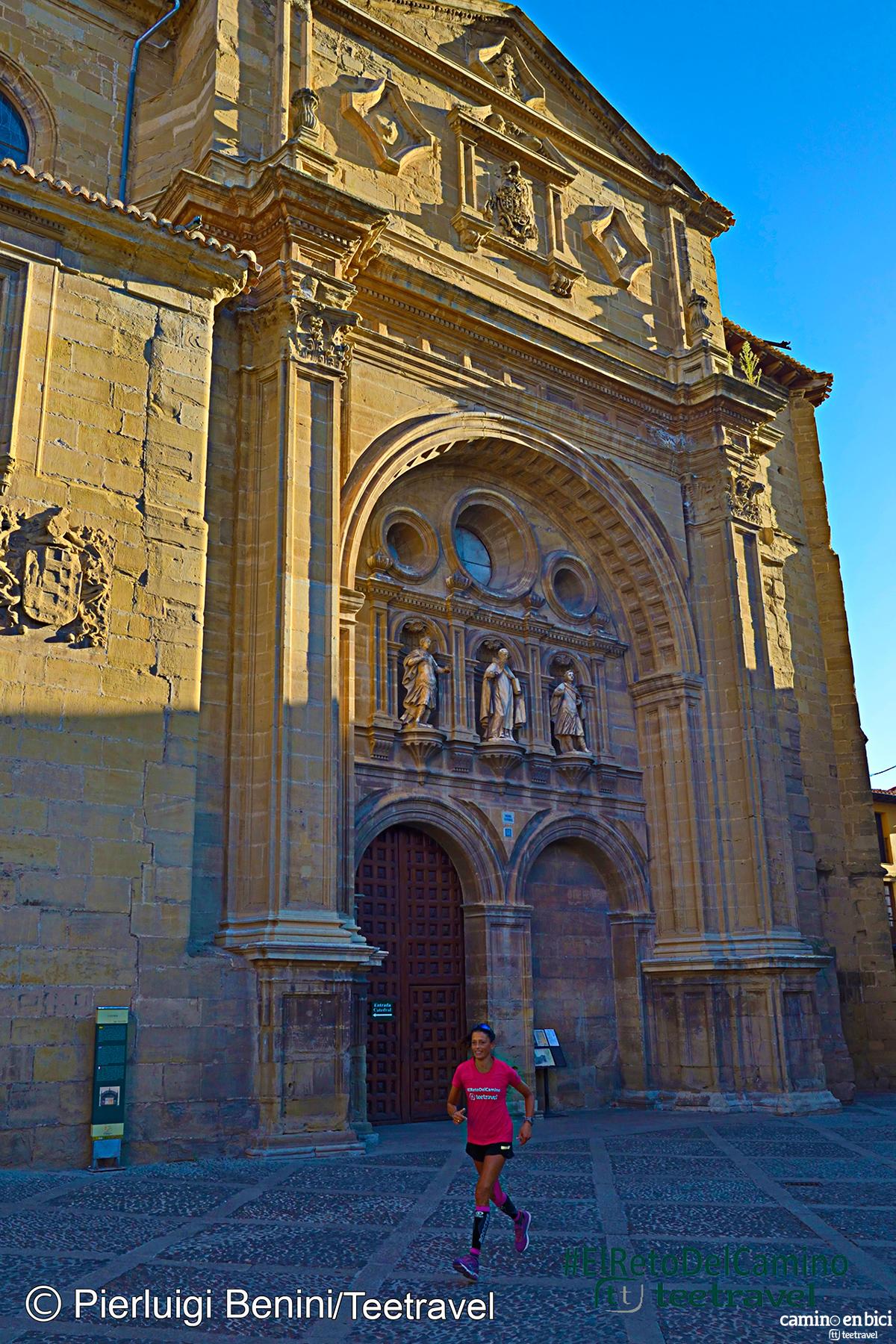 Catedral del Salvador de Santo Domingo de la Calzada - Camino Francés