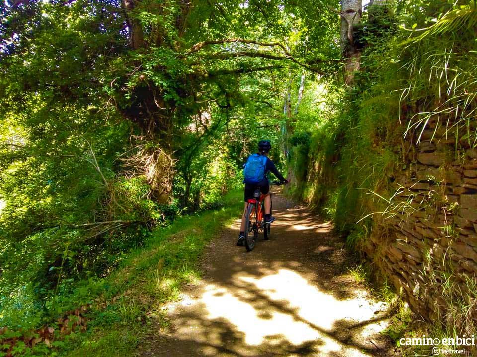 Camino Francés en Bicicleta - Etapa O Cebeiro-Sarria