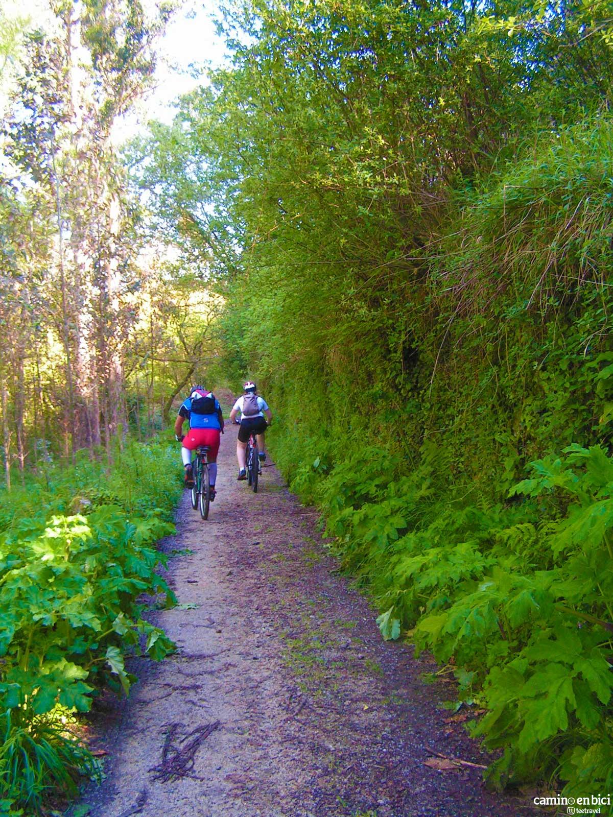 Camino de Santiago Portugués en Bicicleta - Pedaleando entre Pontevedra y Caldas de Reis
