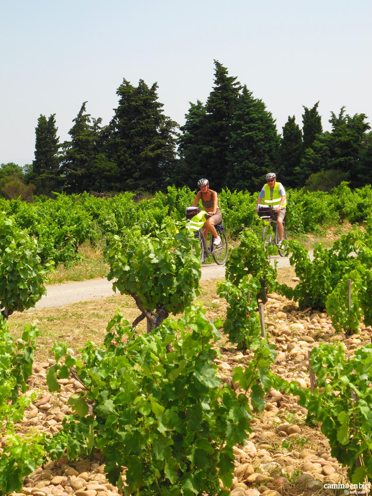 Provenza Francesa - Viñedos
