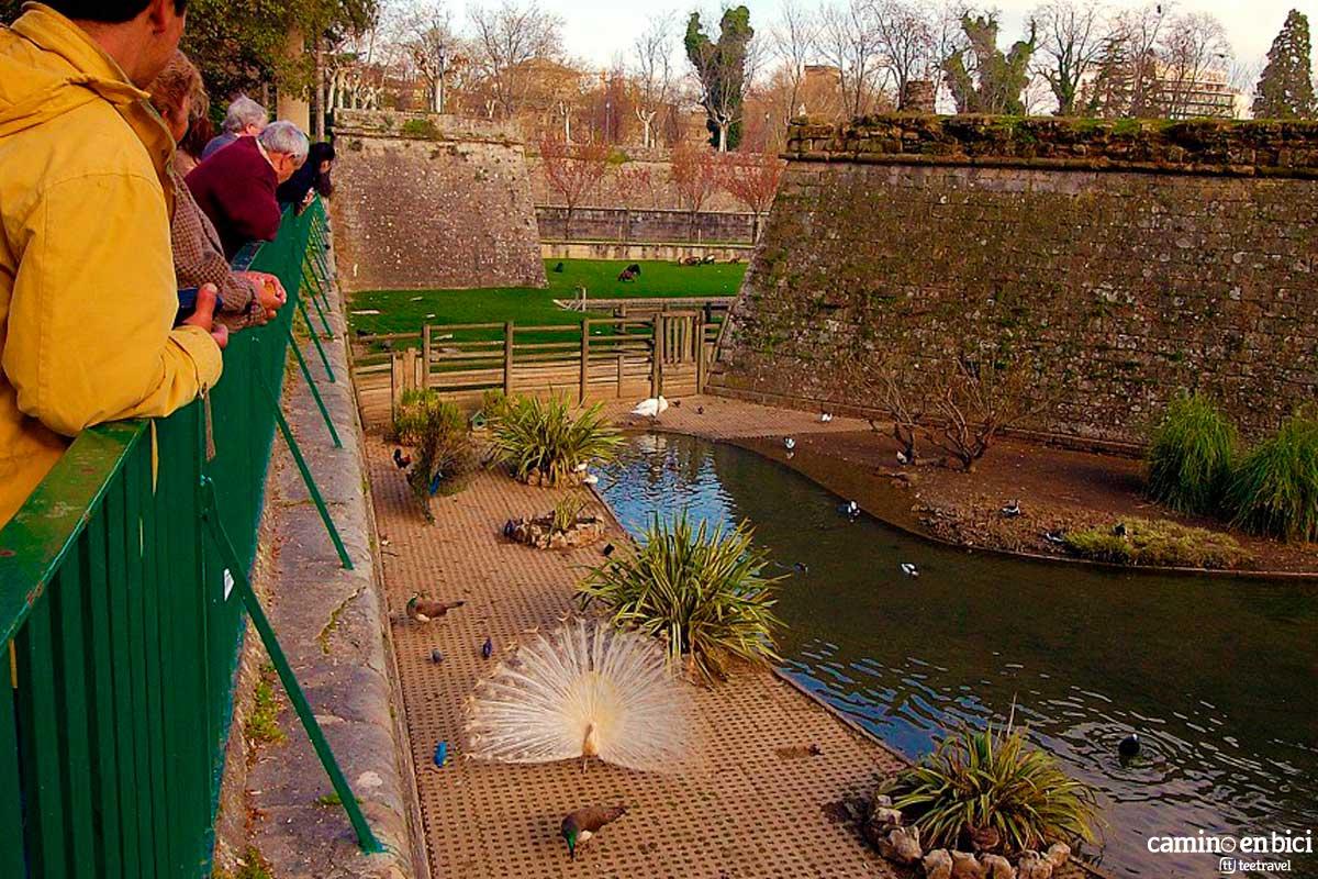 Jardines de la Taconera de Pamplona